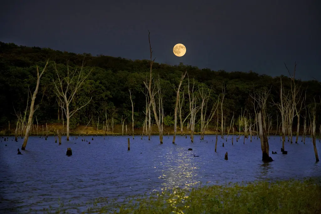 2968713011_17175c998e_b Marketingový plán podle cyklu