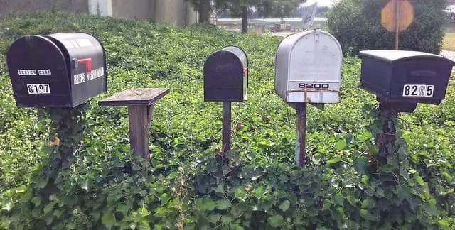 5 tipů, jak zvládat e-maily a přitom nepřijít o zákazníky