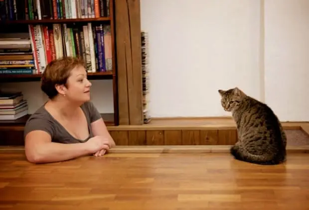 Madla Čevelová 40 marketingových mouder