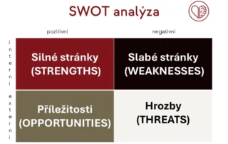 Swot analýza