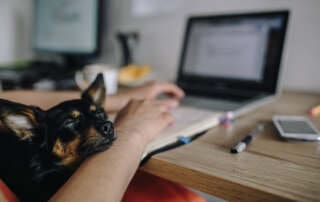 kaboompics Woman working on her laptop with her dog