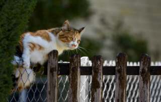 Hranice v podnikání