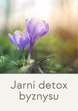 jarni detox byznysu