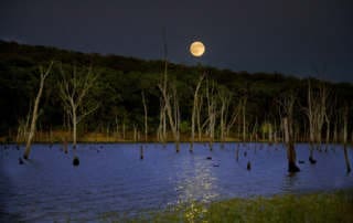 2968713011 17175c998e b