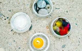 Zivly1 e1450810033955