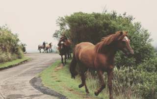 cristy zinn hqxxhnrSnwE unsplash