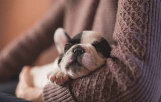 freestocks org 119823