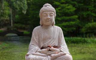 melvin thambi 689611 unsplash 1