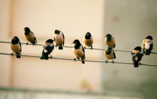 ridham nagralawala 181473