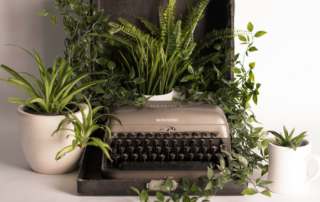 shelby miller 640801 unsplash